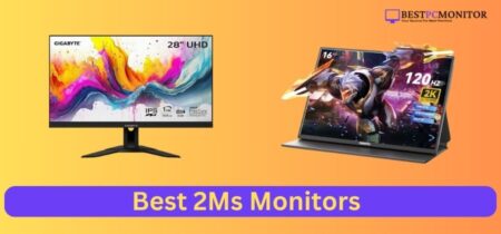 Best 2Ms Monitors For Office And Productivity