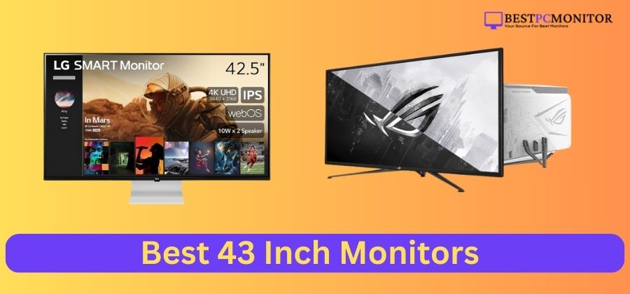 Best 43 Inch Monitors for Gaming and Productivity